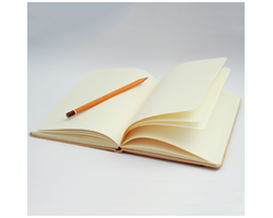 articles